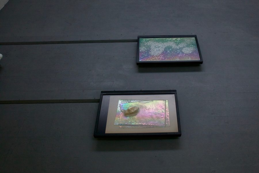 Liquid Crystal Displays, 2019, installation