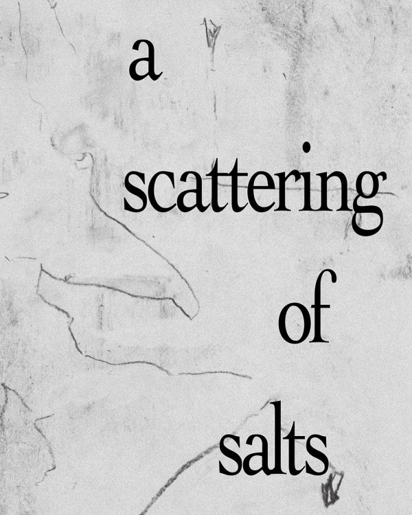 4 FELLOWS ΣΤΗΝ ΕΚΘΕΣΗ “A Scattering of Salts” ΣΕ ΕΠΙΜΕΛΕΙΑ ΠΑΝΟΥ ΓΙΑΝΝΙΚΟΠΟΥΛΟΥ
